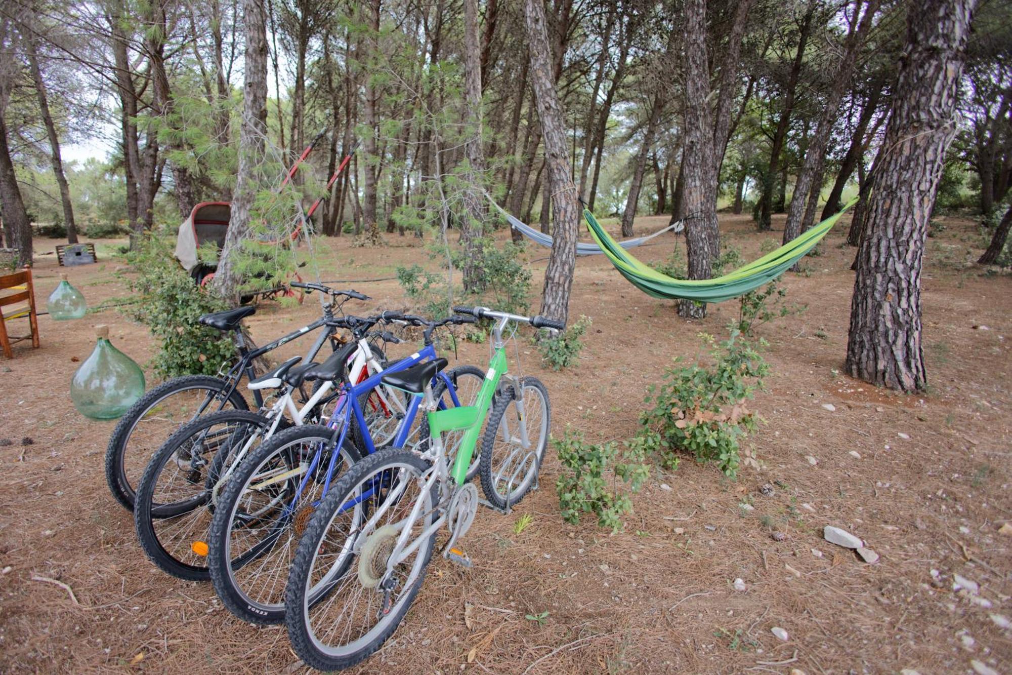 Ad Un Passo Da Cisternino - Trulli Con Foresta, Bici E Barbecue Kültér fotó